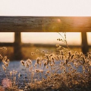 Meet your Posher, Joy